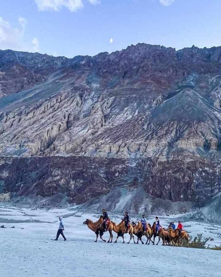 Hotel Nubra Residency Charasa Екстер'єр фото